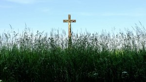 CROSS IN GRASS