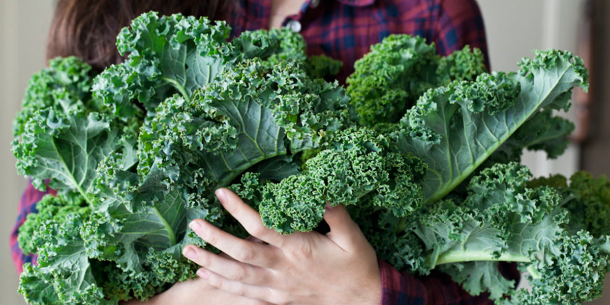 HANDFUL OF KALE