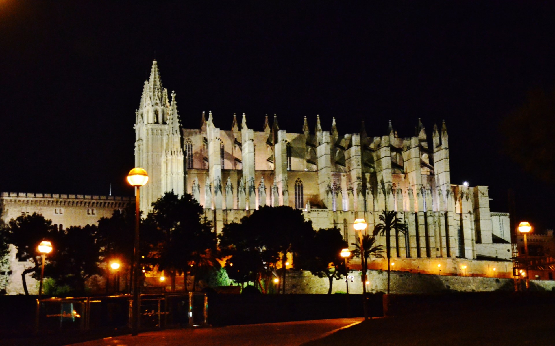 Seu_de_Mallorca_(Palma)_-_11