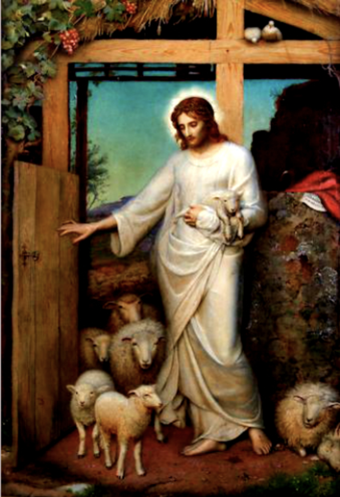 are jesus as the good shepherd of the sheep