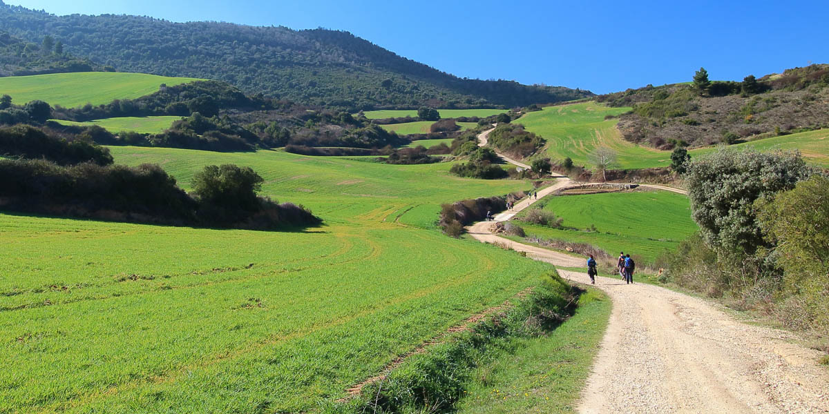 PILGRIMS WALKING;SPAIN