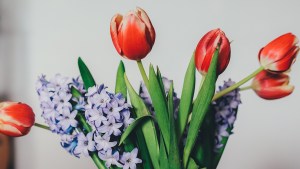 BOUQUET OF FLOWERS