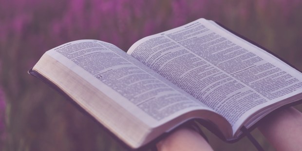 BIBLE