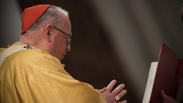 NEW YORK,ORDINATION