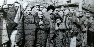 A new photographic exhibition rehumanizes victims of Auschwitz