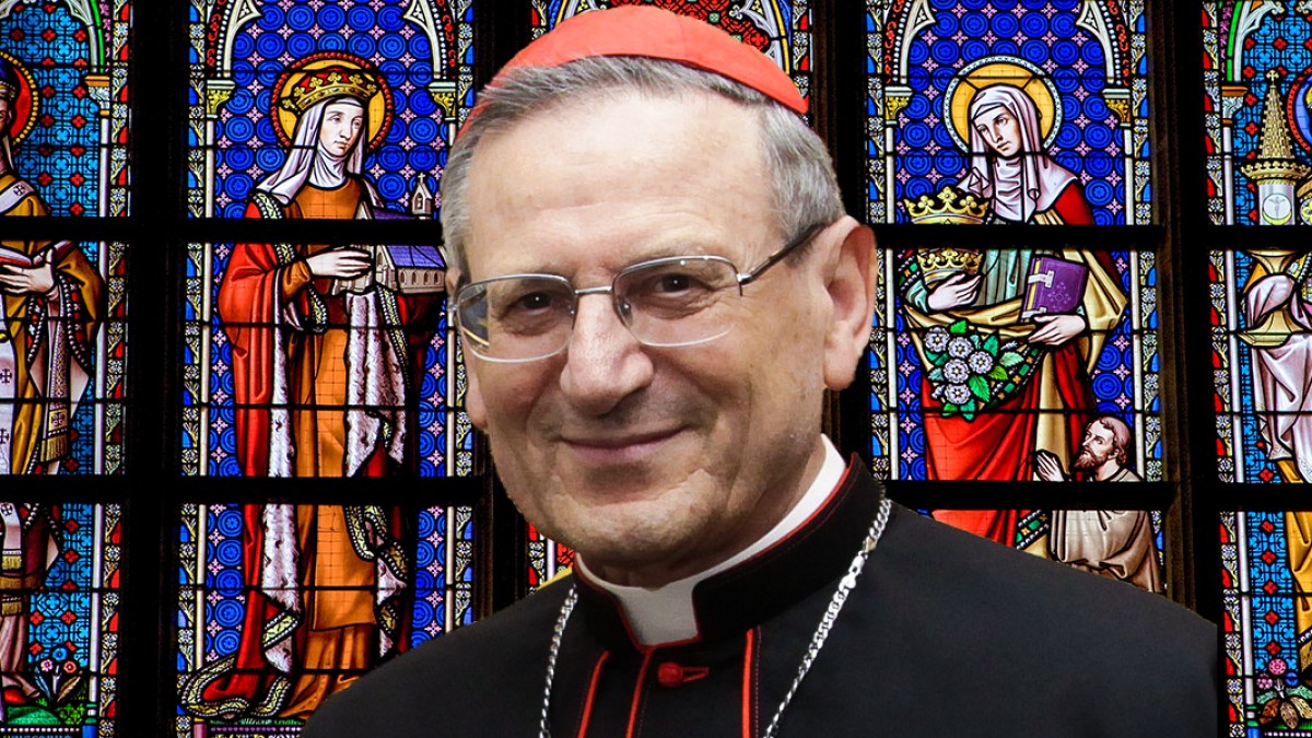 CARDINAL AMATO