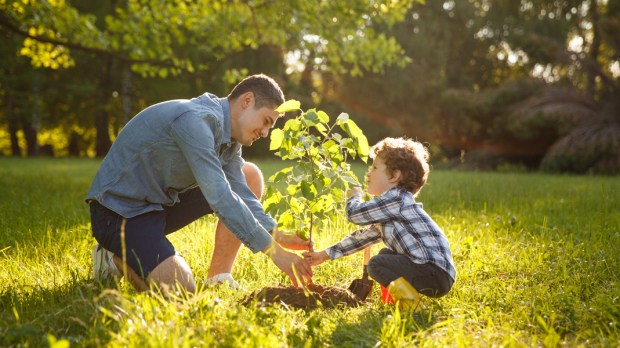 FATHER,SON,PLANT,TREE