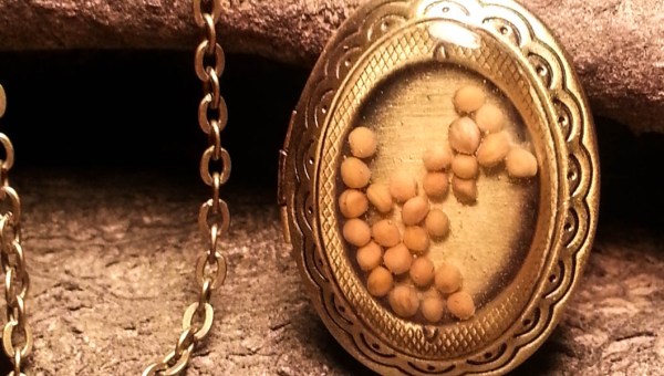 MUSTARD SEED LOCKET