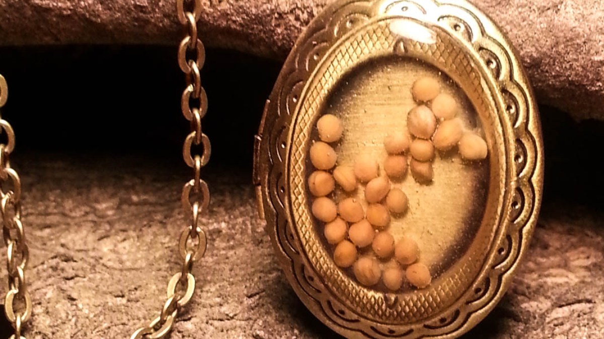 MUSTARD SEED LOCKET