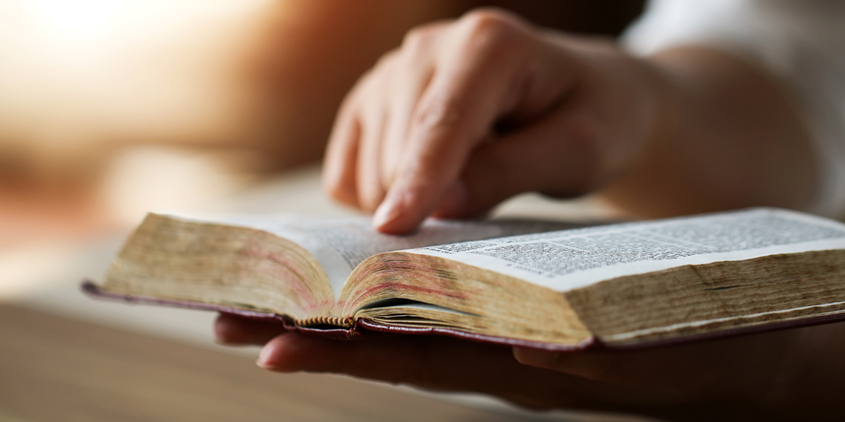 WOMAN,READING,SCRIPTURE