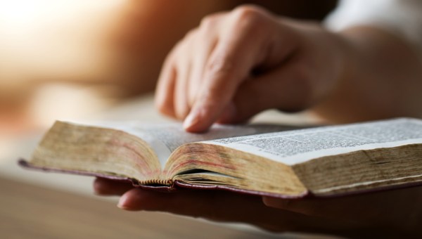 WOMAN,READING,SCRIPTURE