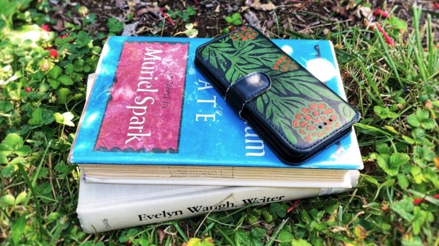 Books and phone on grass