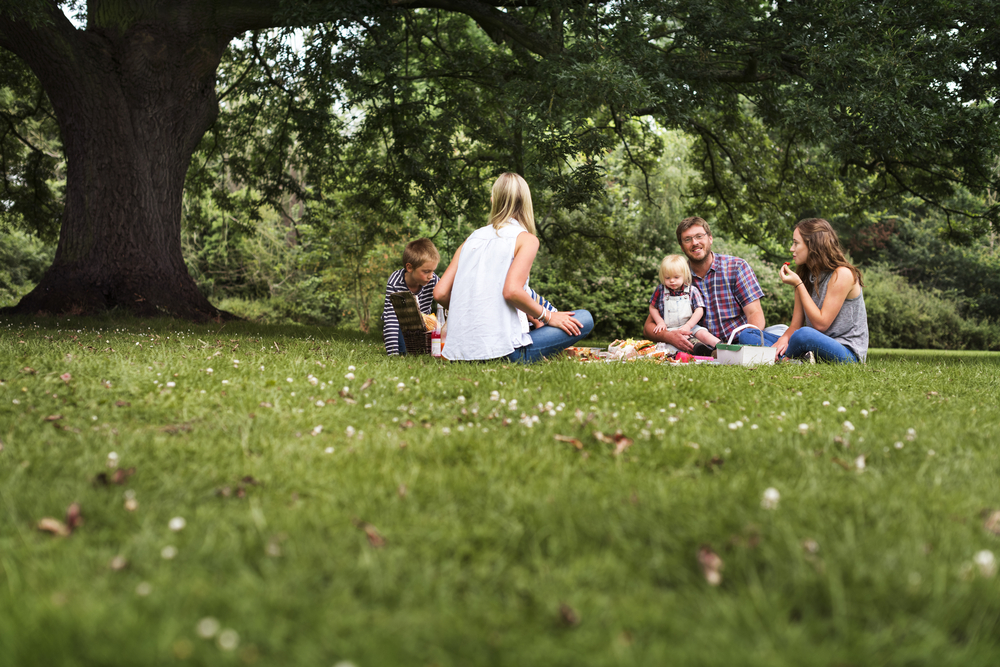 FAMILY,PICNIC