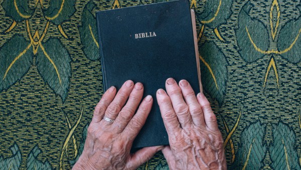 BIBLE,HANDS