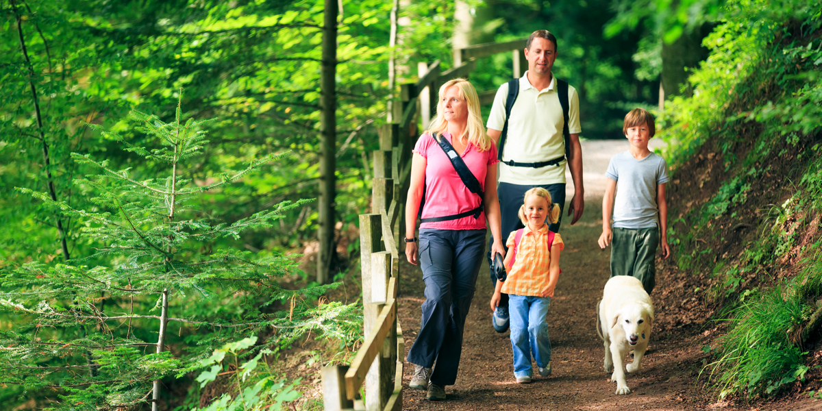 FAMILY,HIKE