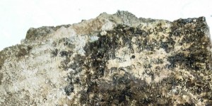 Archaeologists hit a “Homer” with discovery of Odyssey tablet in Greece