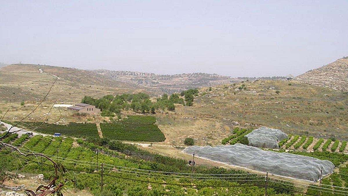 SHILOH,BIBLICAL CITY