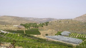 SHILOH,BIBLICAL CITY