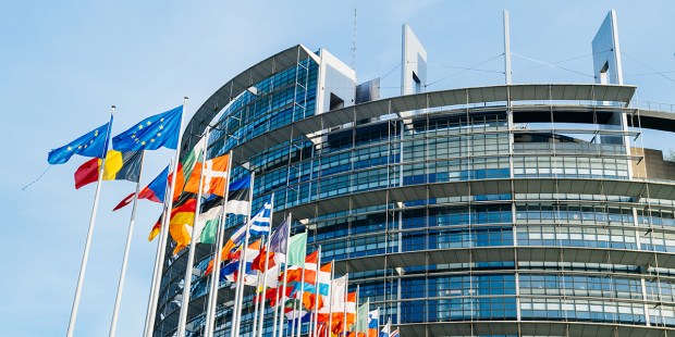 THE EUROPEAN PARLIAMENT