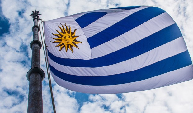 Corner Hero Image - Leo XIV will visit Uruguay in November, cardinal says
