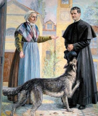 Why is St. Roch the patron saint of dogs?