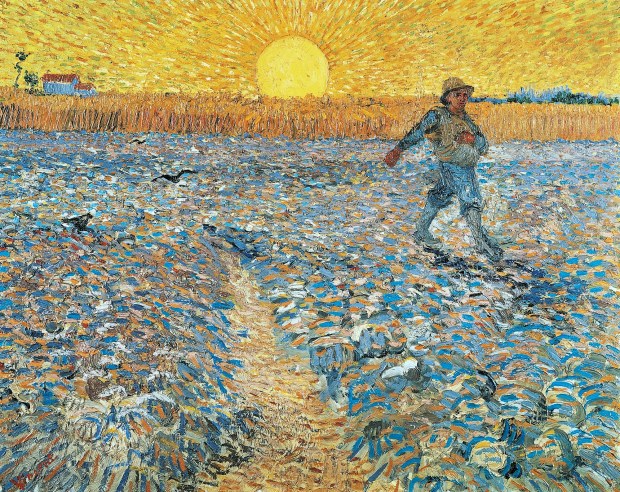 SEMINATORE, VAN GOGH