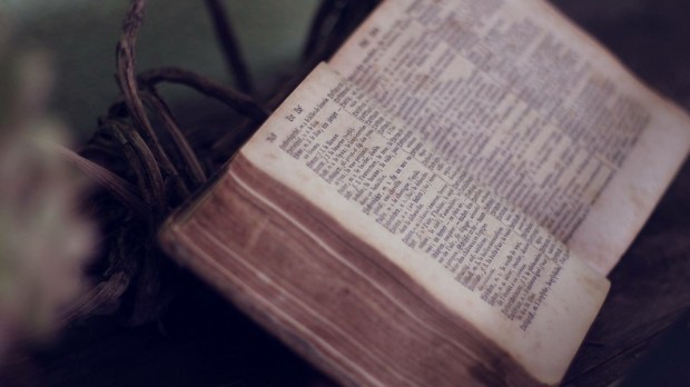 OLD,BIBLE