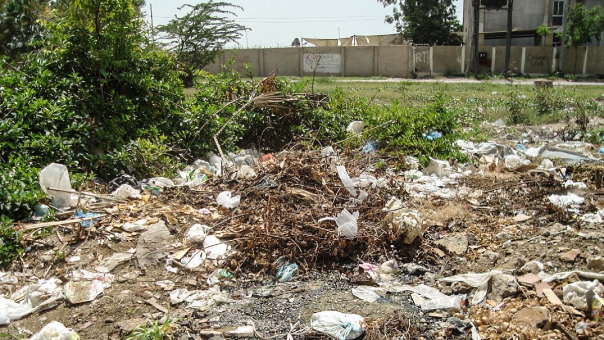 PLASTIC BAGS