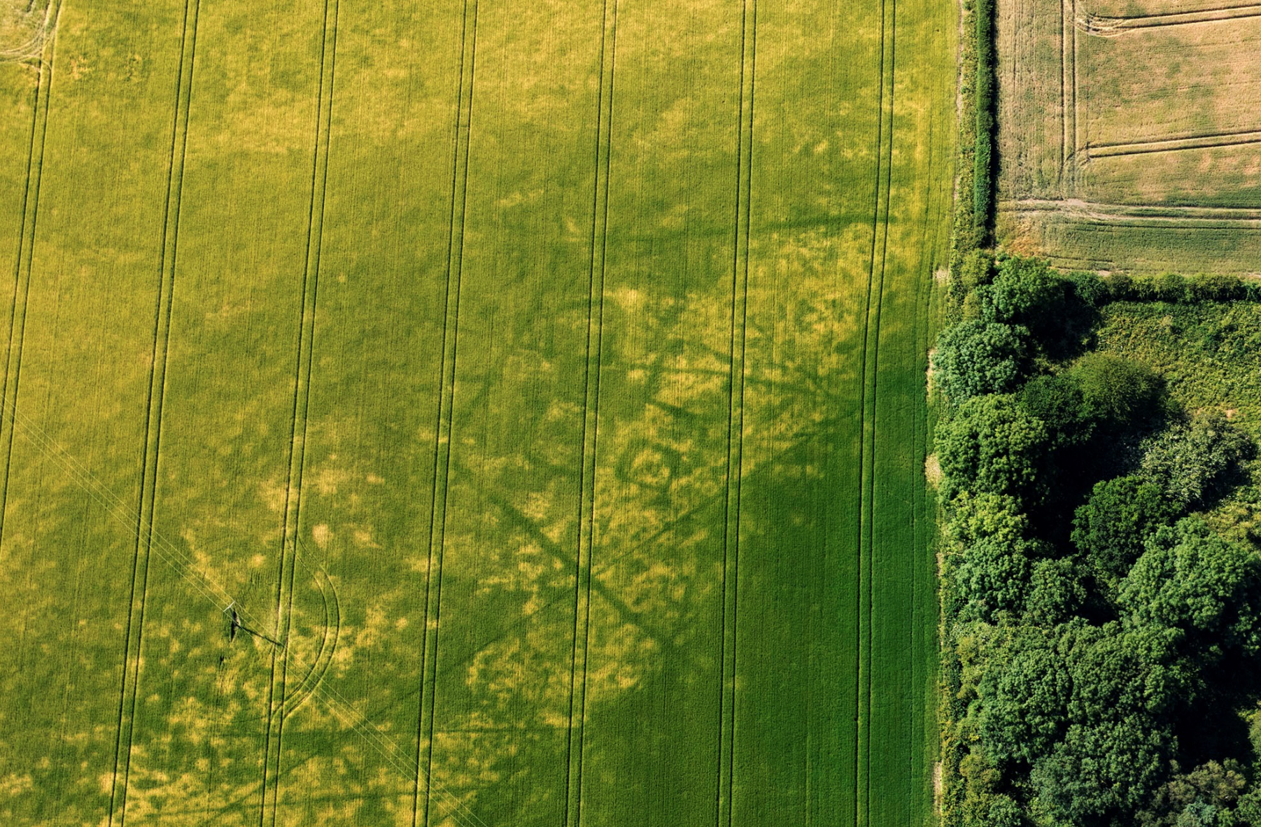 CROP MARKS; BURIAL GROUND; YORKSHIRE; AERIAL ARCHAEOLOGY