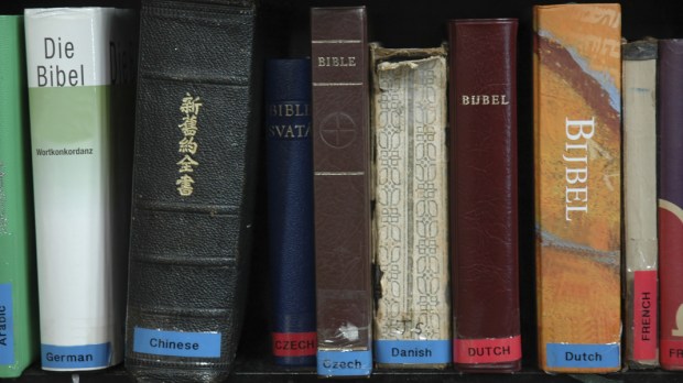 BIBLE,COLLECTION