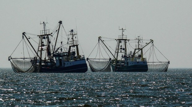 FISHING BOATS