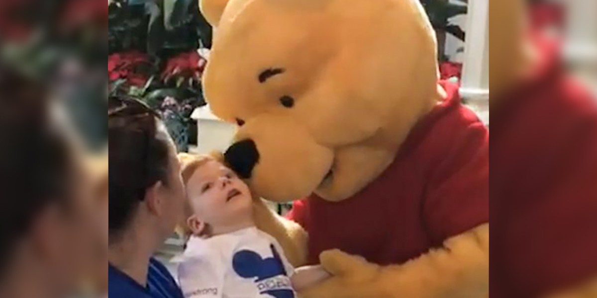 WINNIE THE POOH
