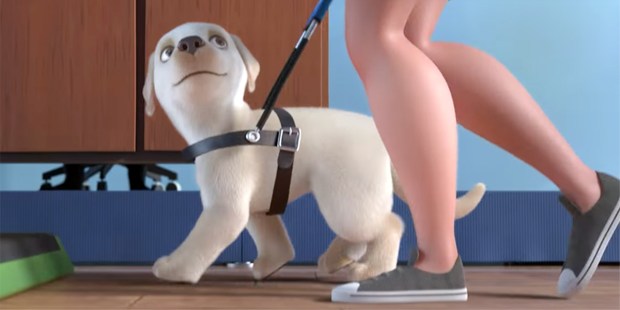 This video about guide dogs will melt your heart (VIDEO)