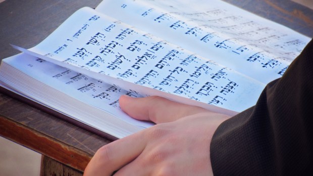HEBREW,SCRIPTURES
