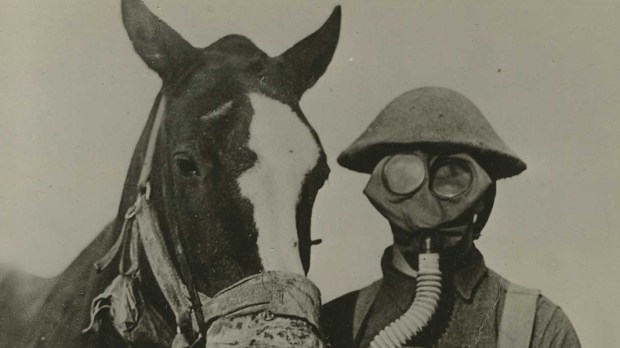 WORLD WAR 1,SOLDIER,HORSE