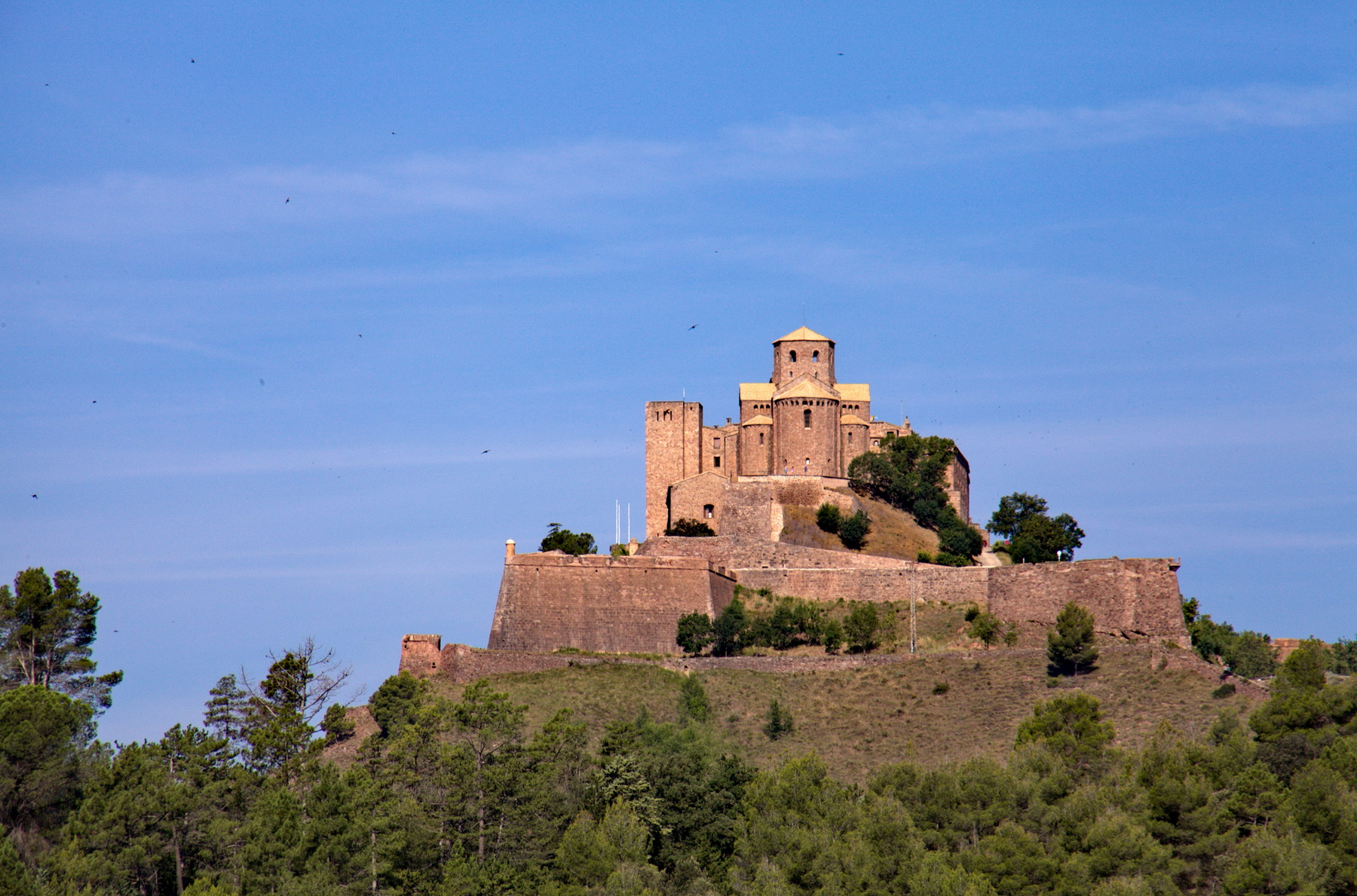 CHURCH OF SANT VICENC