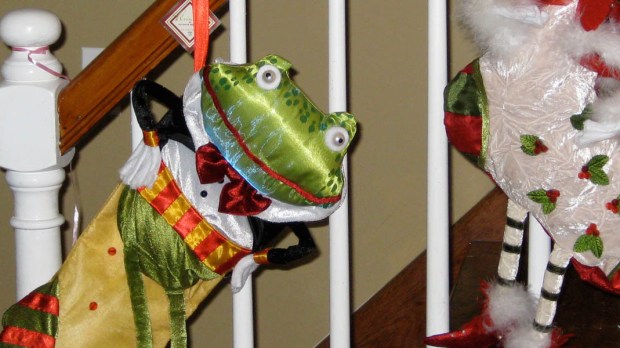 CHRISTMAS FROGS