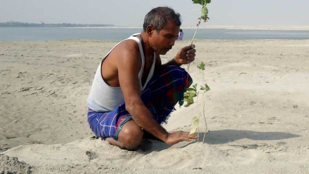 JADAV PAYENG