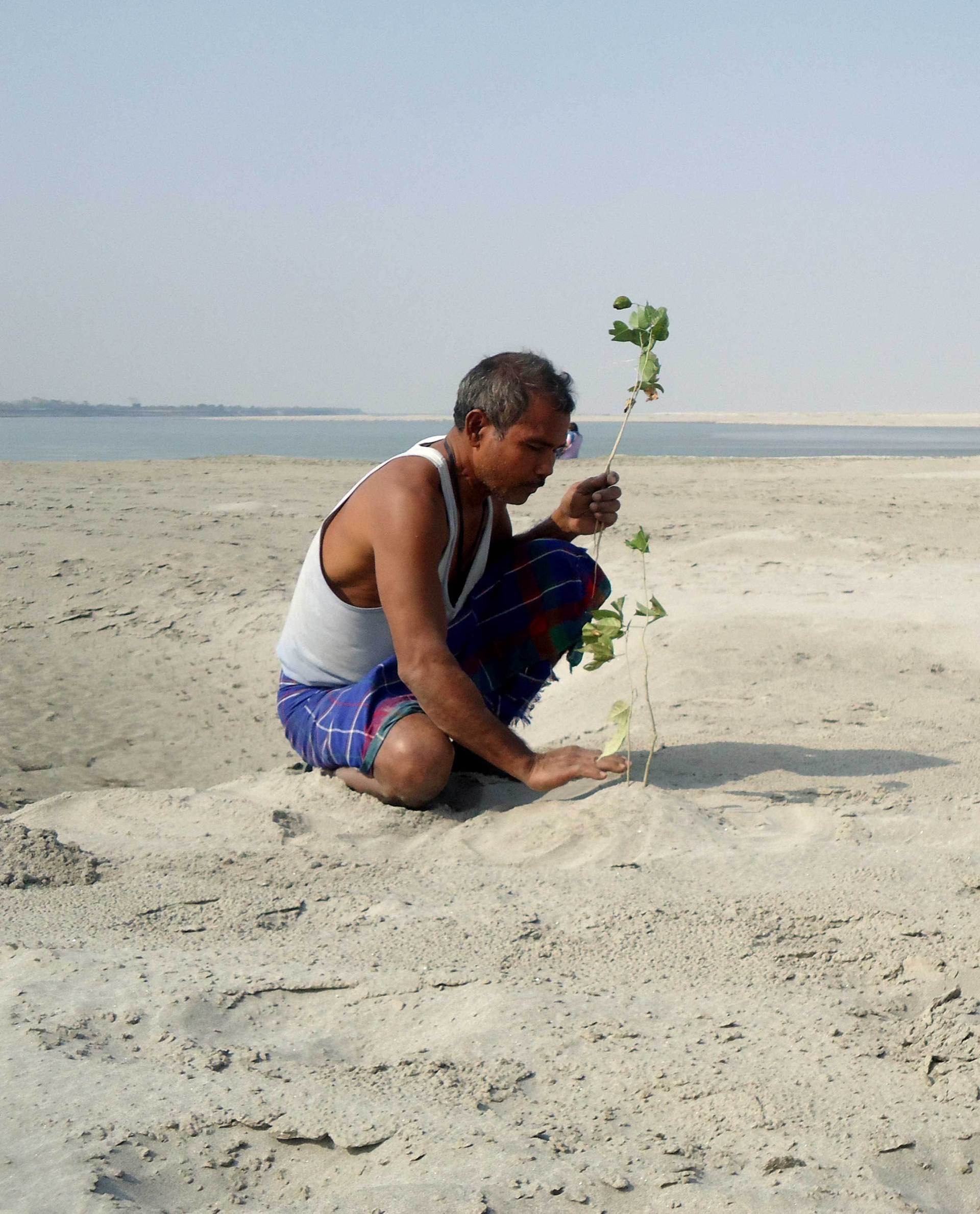 JADAV PAYENG