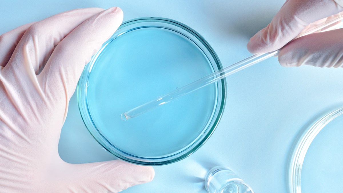 SCIENTIST,PETRI DISH