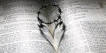 BIBLE