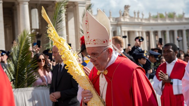 POPE FRANCIS PALM SUNDAY