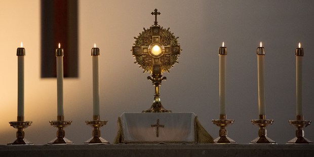 The Eucharist is only adequate way to approach our shadows - Vimarsana News