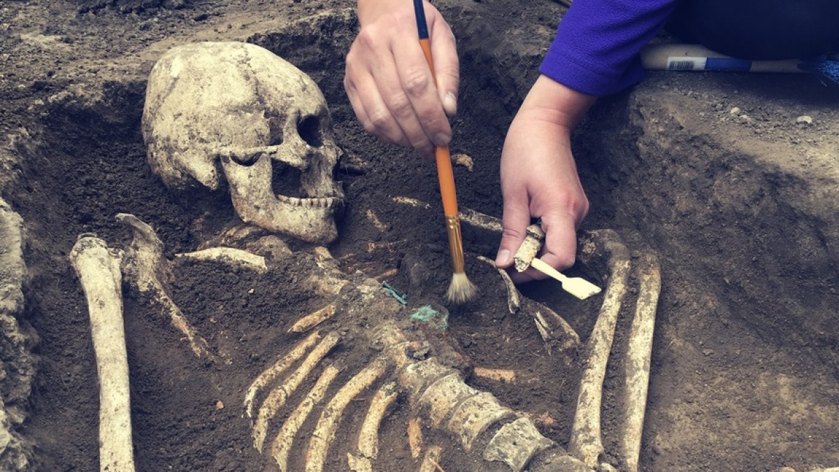 web3-archaeology-dig-site-bones-brush-hands-masarik-shutterstock_671547262.jpg