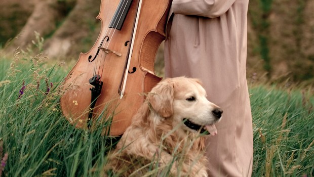 CLASSICAL MUSIC AND PETS