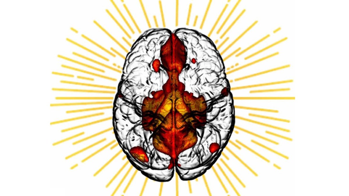 LUMINOUS BRAIN PODCAST
