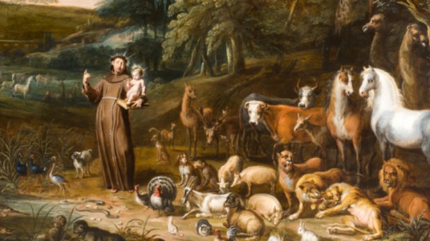 Did you know St. Francis had a least favorite animal? --Aleteia