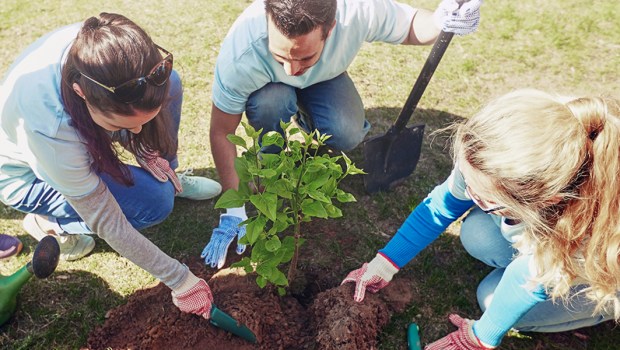 PLANTING