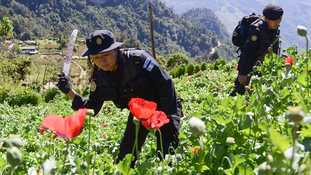 MEXICO DRUG