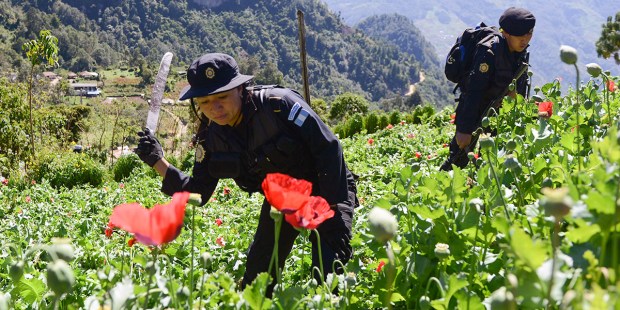 MEXICO DRUG